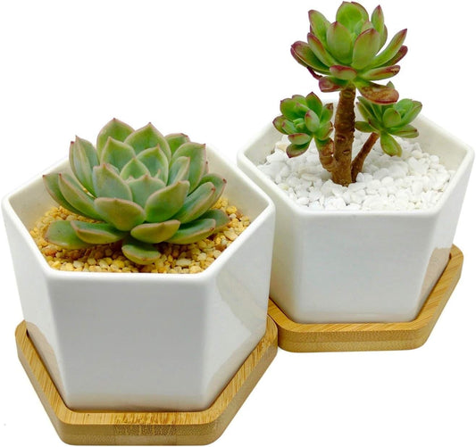 Modern Ceramic Tabletop Planter Set