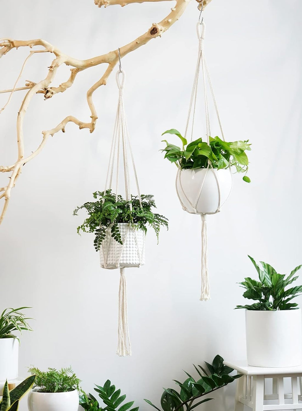 Hanging Macrame Planter with Ceramic Pot