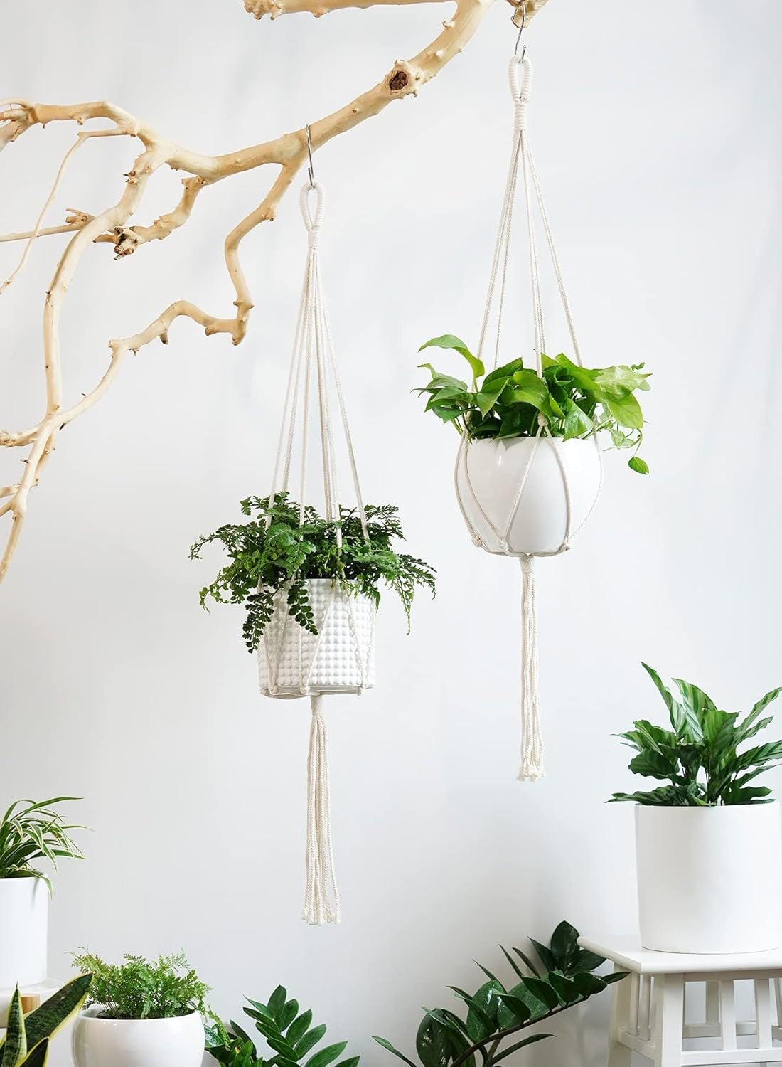 Hanging Macrame Planter with Ceramic Pot